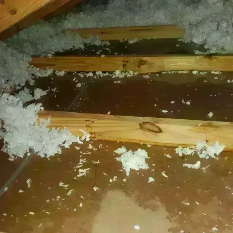 Attic Water Damage in Bedford, KY